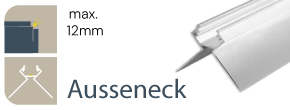 Ausseneck