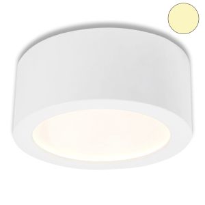 LED Wand/Deckenleuchte MOONLIGHT 12W, weiß, indirektes Licht, warmweiß