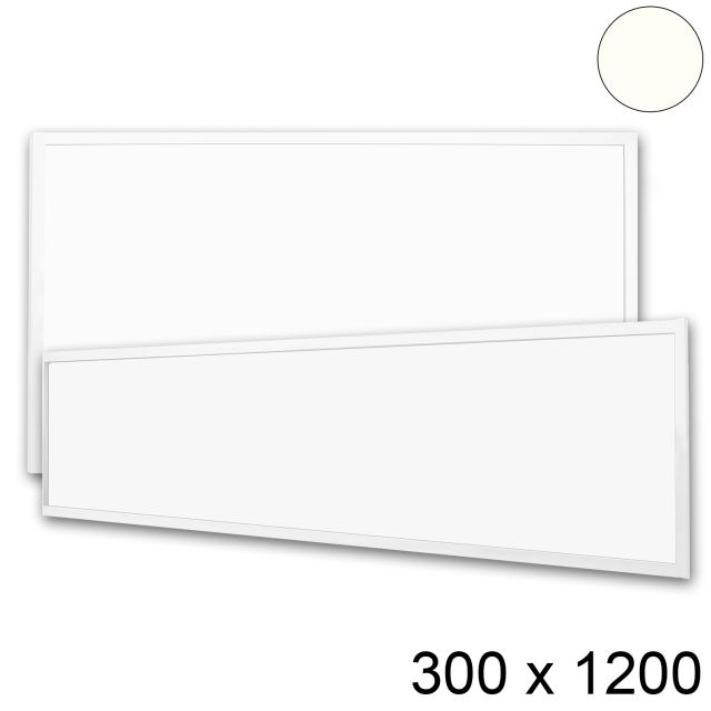 LED Panel Profi Line 300x1200 UGR