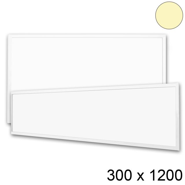 LED Panel Profi Line 300x1200, UGR