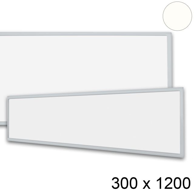 LED Panel Profi Line 300x1200 UGR