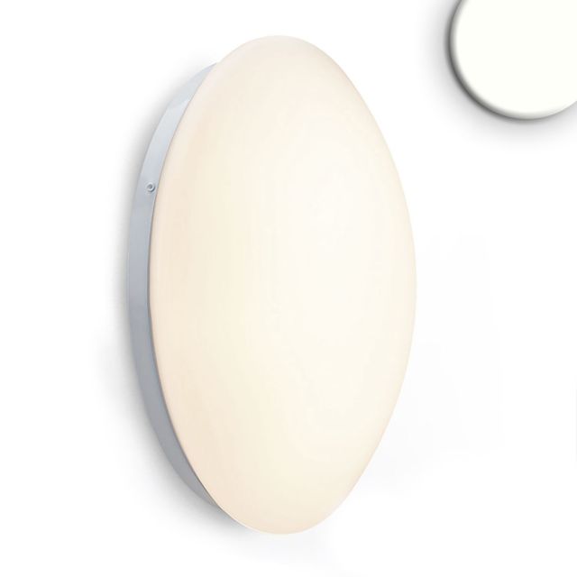 LED Wand/Deckenleuchte weiß, 24W, rund, 4000K, IP54