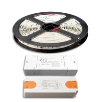 LED Streifen 5M SET 12V, 4,8W/m inkl. ZIGBEE Controller + Trafo ECO