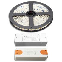 LED Streifen 5M SET 24V, 9,6W/m inkl. ZIGBEE Controller + Trafo ECO